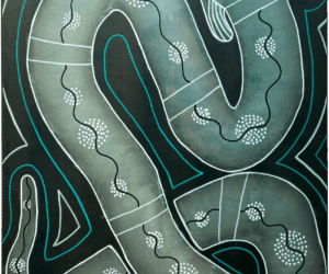 Eel Dreaming by Steven Baksh