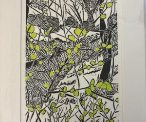 Hovea Graniticola by Krishna Heffernan