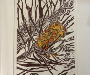 Callistemon Pod by Krishna Heffernan