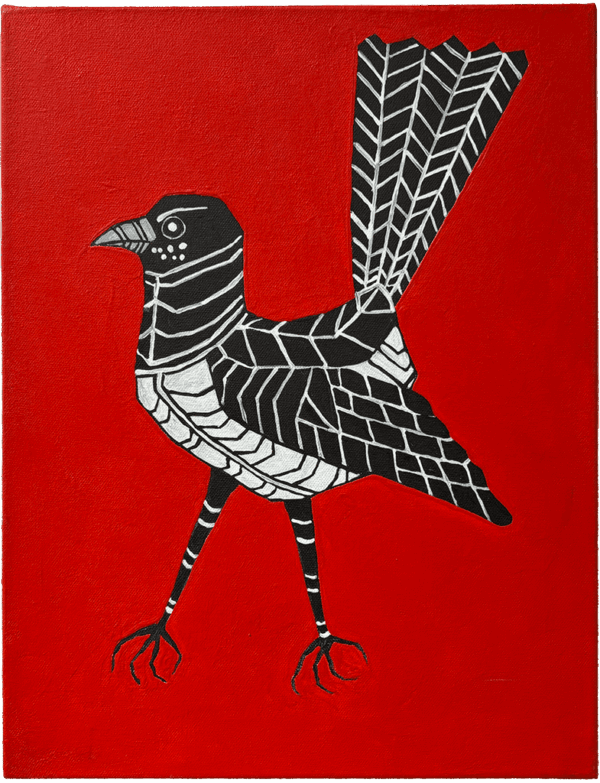 Willie Wagtail by Jason Jakiel