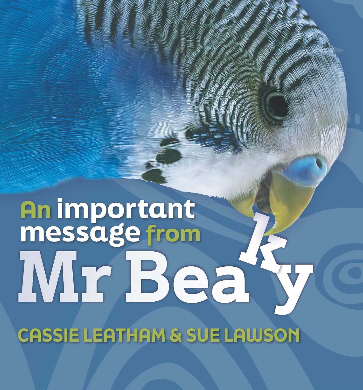 An Important Message from Mr Beaky by Cassie Fisher-Patterson